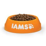 IAMS Cat Kitten 10kg