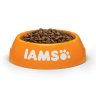 IAMS Cat Kitten 10kg