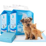 Nobleza Kutyapelenka 20b-os