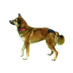 Trixie Tüzelőbugyi XS 20–25cm fekete